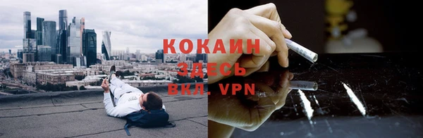 твердый Осинники