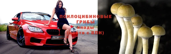 амф Осташков