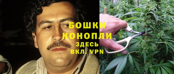 твердый Осинники