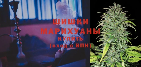 амф Осташков