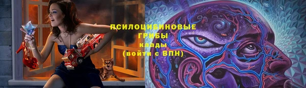 амф Осташков